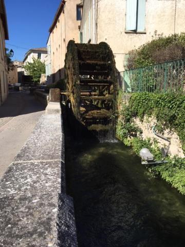 Maison De Charme Isle Sur La Sorgue LʼIsle-sur-la-Sorgue Buitenkant foto